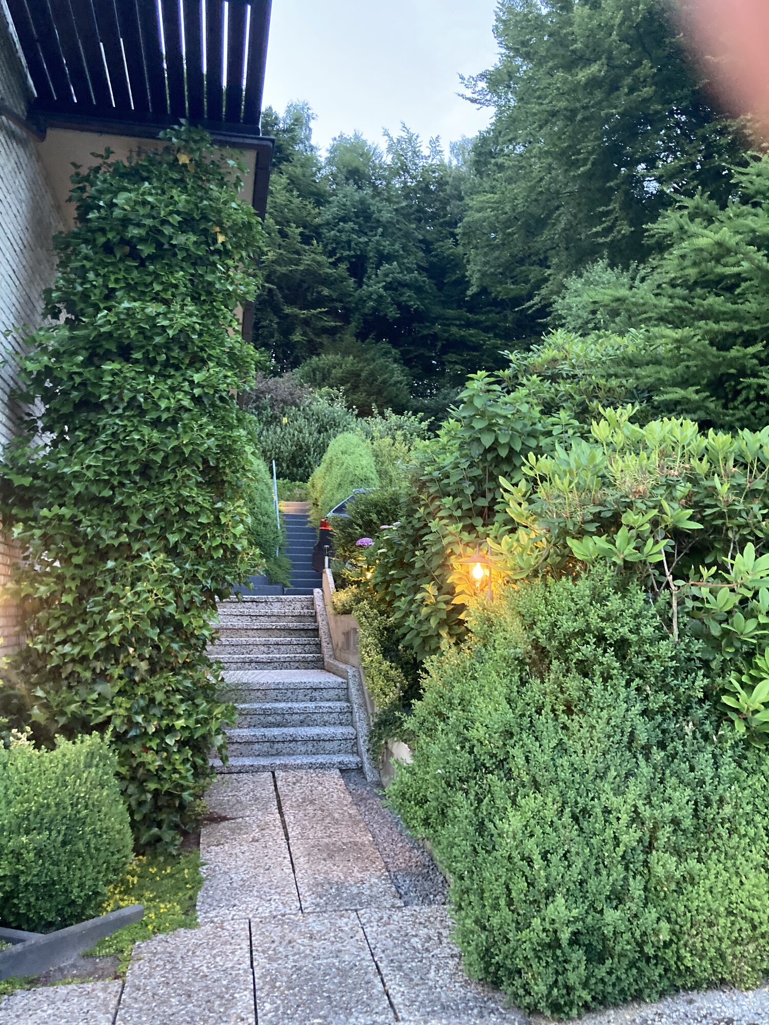 Garten & Terrasse