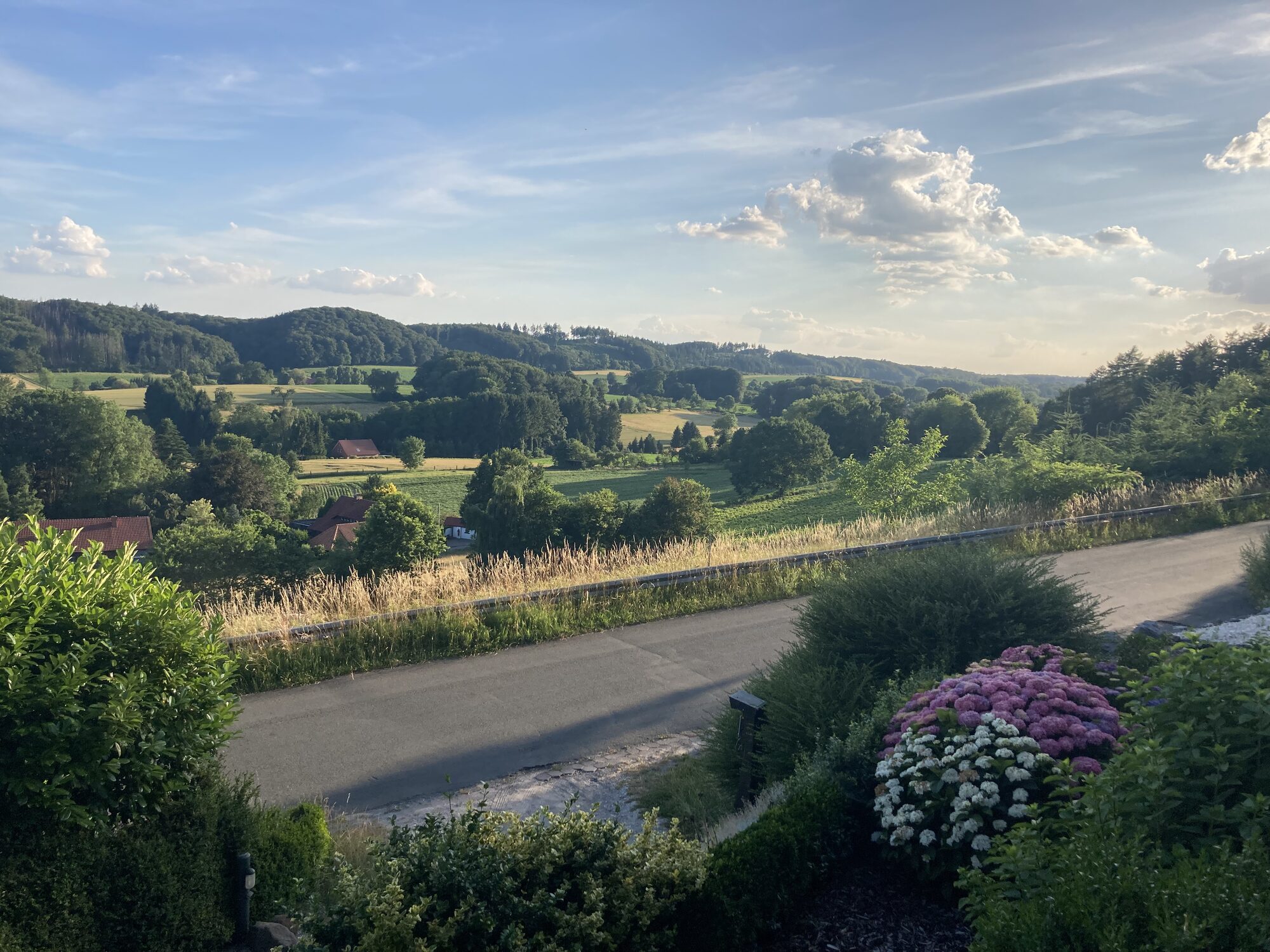 Talblick / Weinberg in der Abendsonne