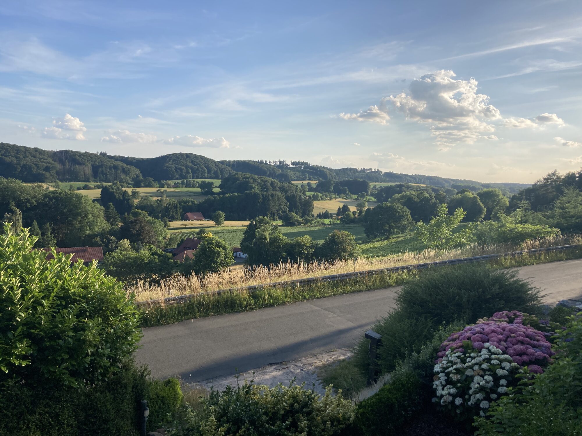 Talblick über das Tal