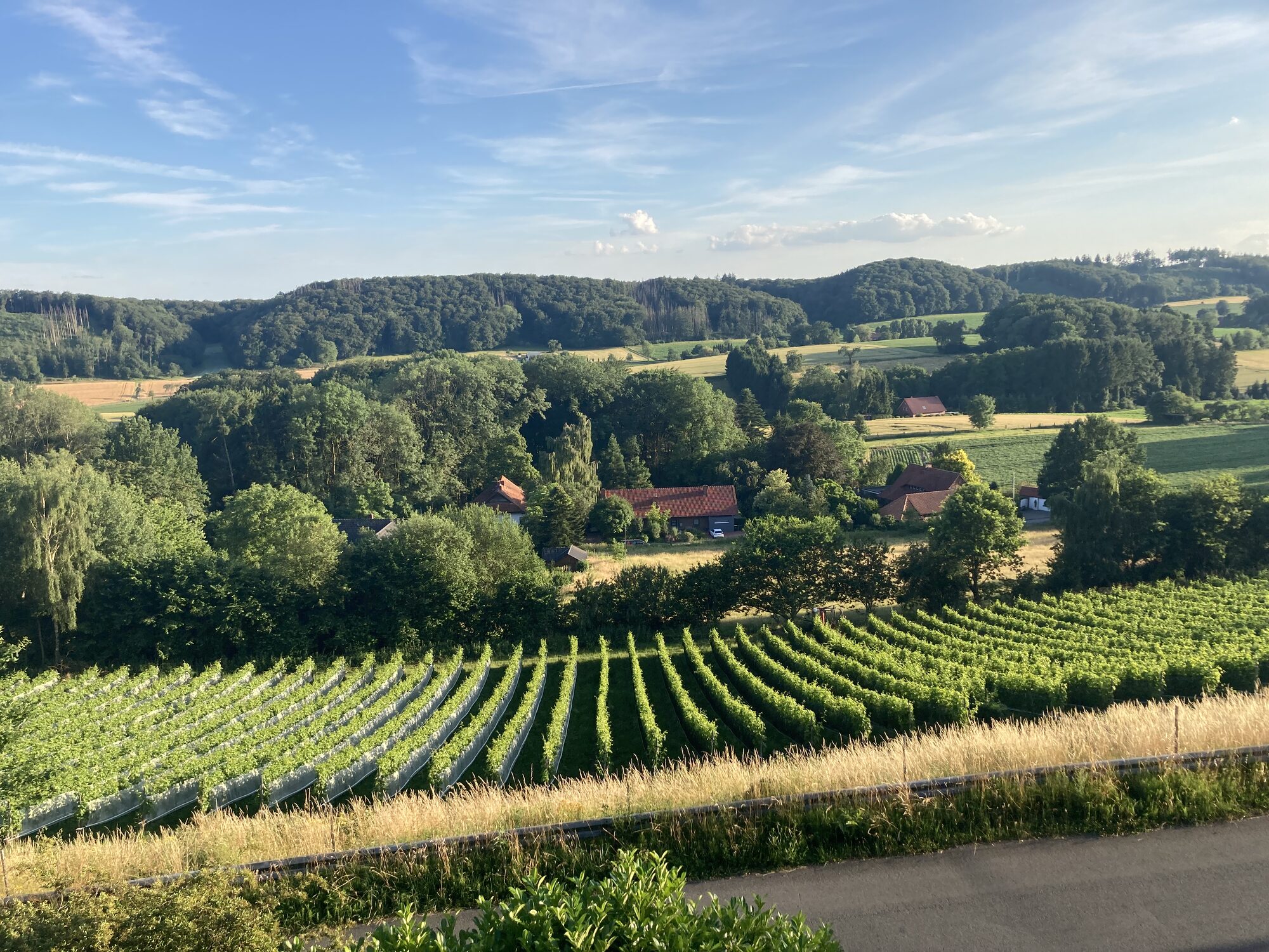 Weinberg nebenan